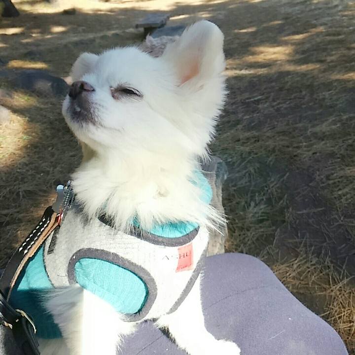 F50352f7 8975 4adf 938f cd51787b0326