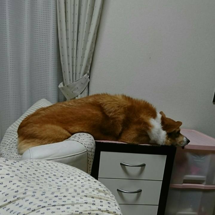 F50434e1 258a 4248 a0be 4d3df3d08df0