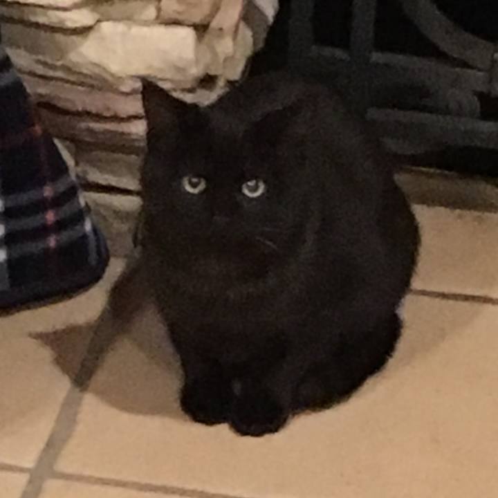 F50460f1 54c1 48a6 ab7c b16394ae1718