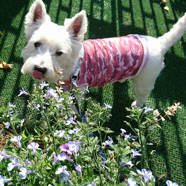 F50473ac bb1c 4028 a0c1 a7e7f37b24f6