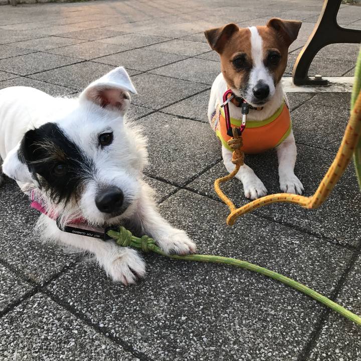 F504efb2 a689 4fbe ba91 19d5f89e26a3