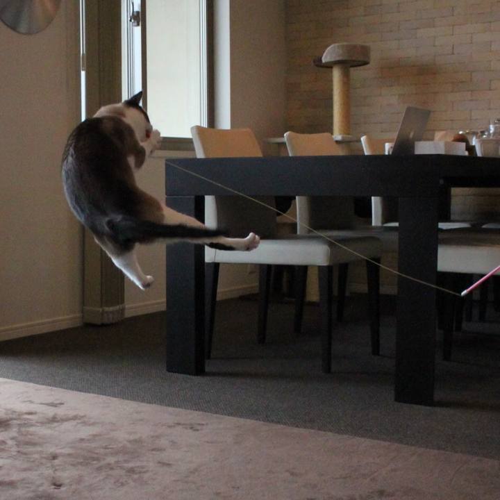 F505b9a6 0e24 4ad6 ad5e d7b2da5f757a