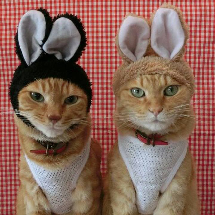 F505cece 5f95 4204 80e1 998dc55f5e50