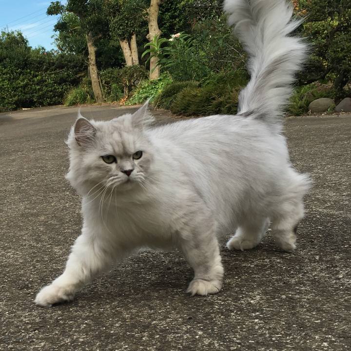 F505ed66 341f 447f 8de4 86f5ddd71229