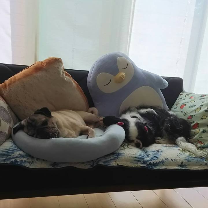 F5065a11 a1a7 42e7 aef2 a06e48b795d9