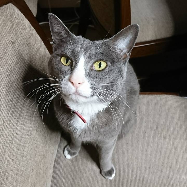 F506b4a4 77d1 43d4 88e7 c6d43eeaa647