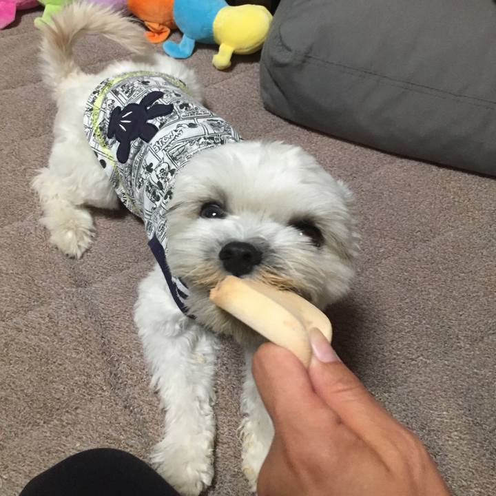 F506f4ac d441 49e8 86e8 a583e12a600a