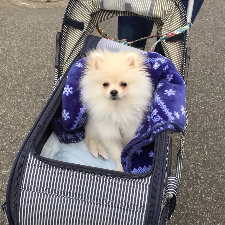 F5073db2 0ca2 4d71 8da9 0c3b07bb3971