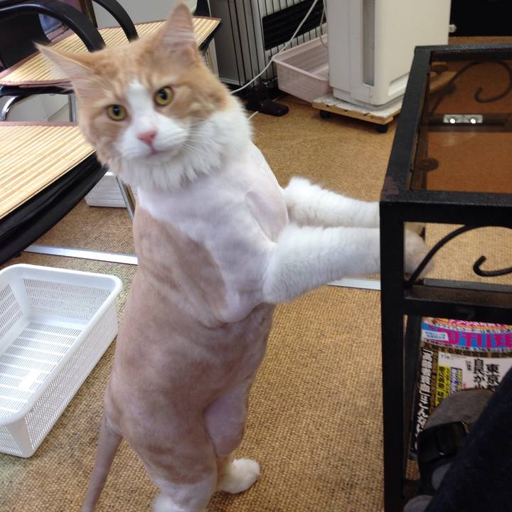 F5075803 02f8 4ae0 b5ae af5c84d63529