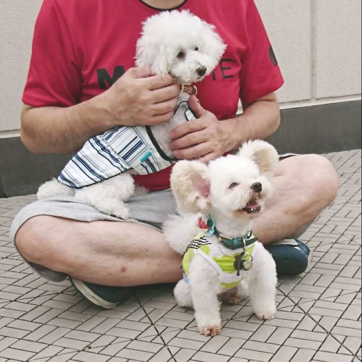 F507861a b54b 4a9f ba0d a05961a9db15