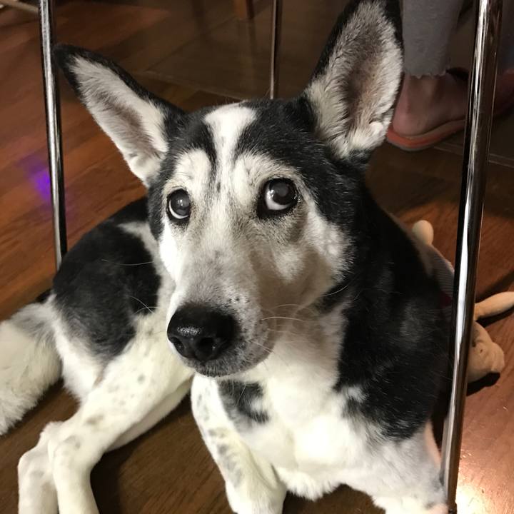 F507a996 9fb3 4ac1 800c b8dc13427b82