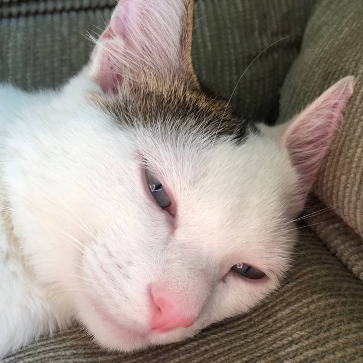 F507dbce 2e59 4ce8 a5b6 07bb82ed46e7