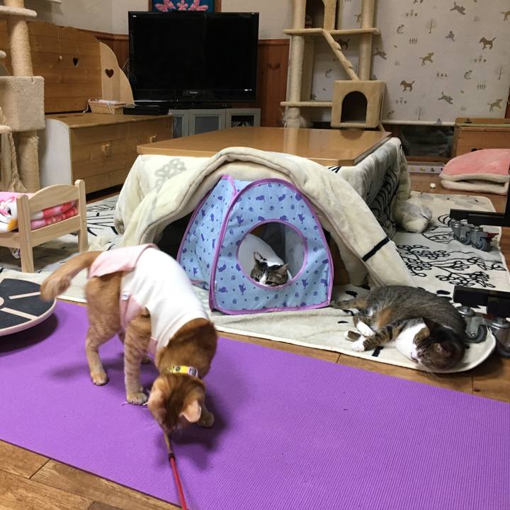 F5081c7a 2d89 49b0 a910 3aa3239ac752