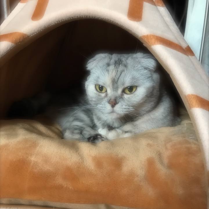 F50844a3 c8bc 4135 90f4 18a0a9225eae