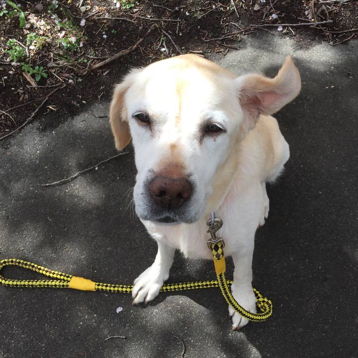 F508930a 5d9f 4f21 819d 6694bf70dd27