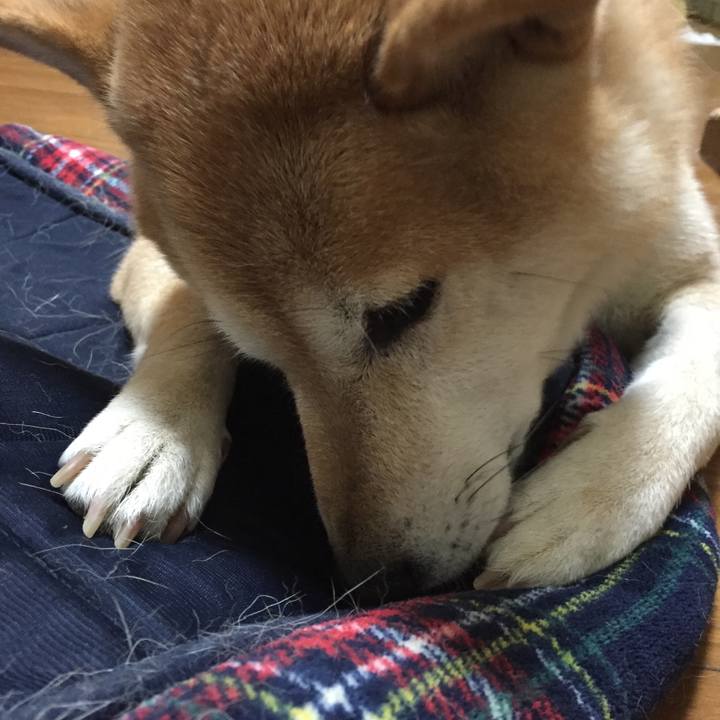 F508b470 8c30 40ba 9493 aee5c6d4a2c1