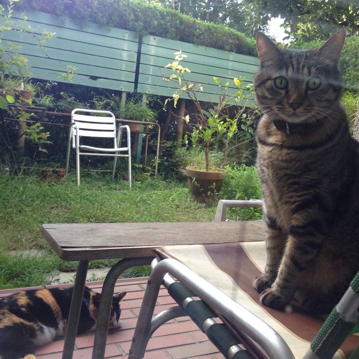 F508c73a ef51 447c bf43 aa65471eab1c