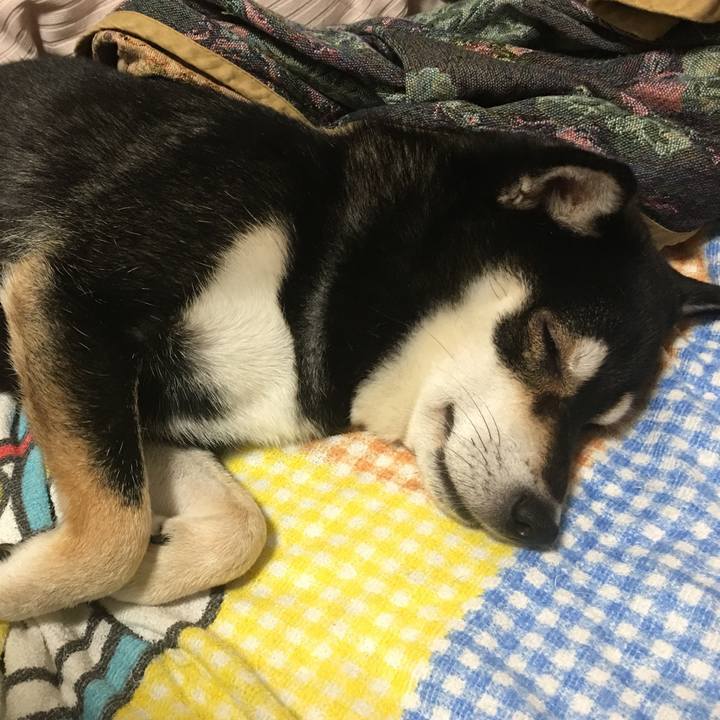 F50983d2 18c6 493a 9ba1 9c959c65b444