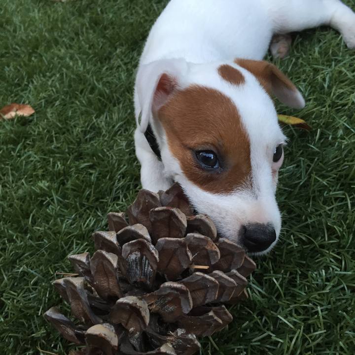 F5098c20 47fa 49e8 b550 c384827cb304