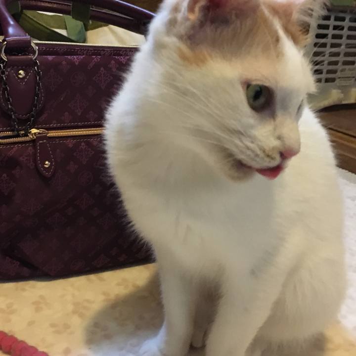 F509fa62 6b66 42e4 9554 f7c9fb2f278f