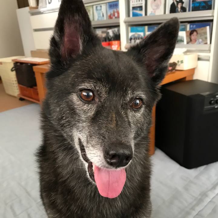 F509fbfa e0cf 4b1e a55d 33ef7ce67ba7