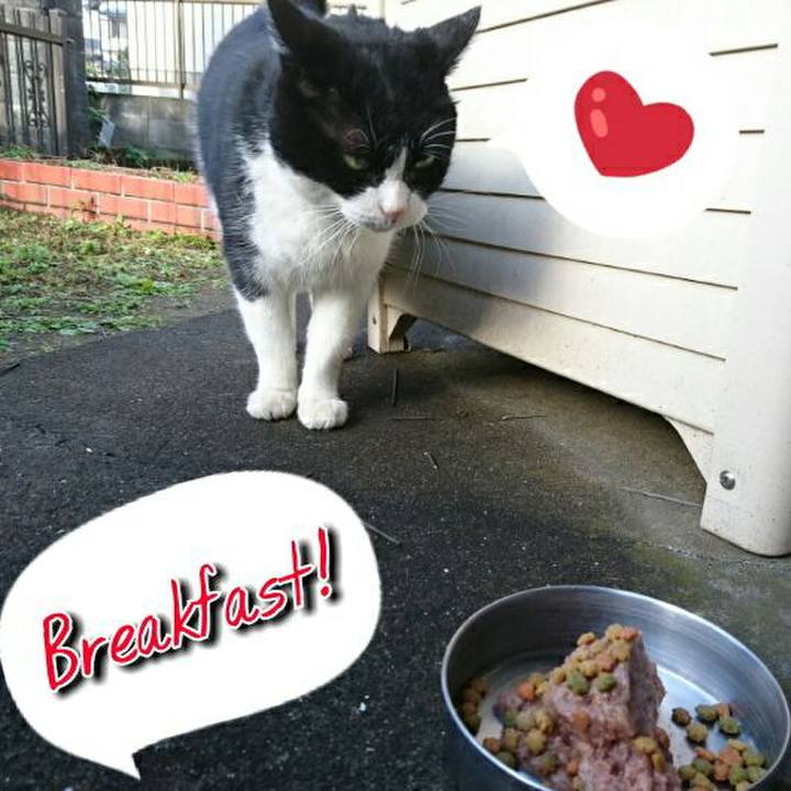 F50a1ee9 f2fd 4ee4 80e5 2b23e871f920