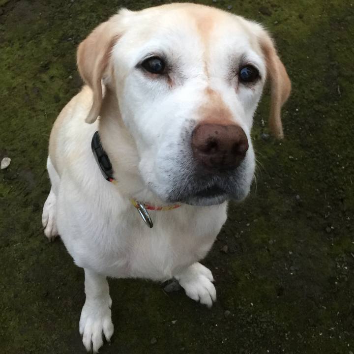 F50b3f1c a14f 47f9 8414 53dd30e87f46