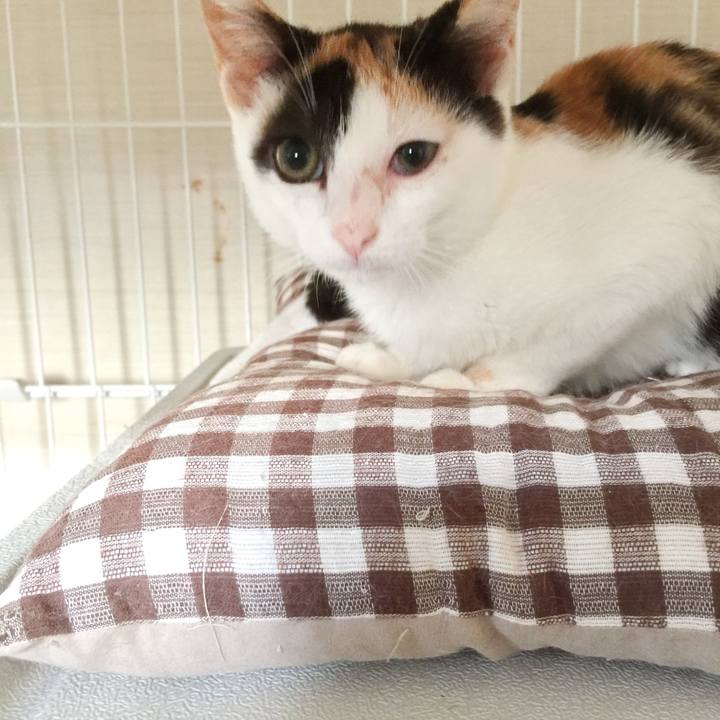 F50b5569 f6e4 4e80 8099 4d02e5647a63