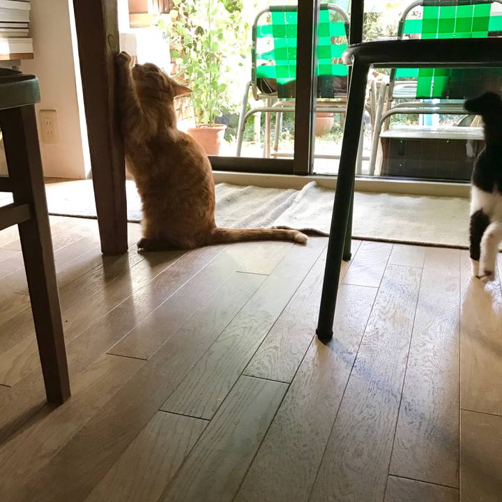 F50b8b00 9283 4479 ae7f bdc7f8e6e4ce