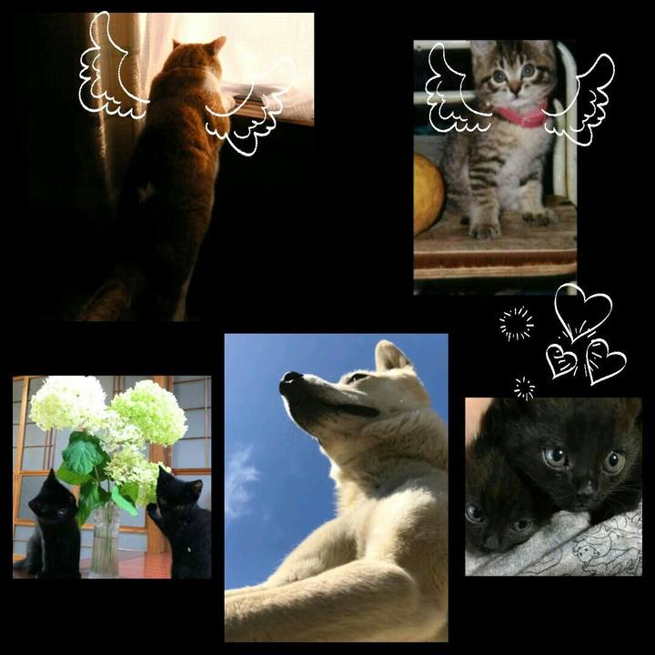 F50beb4b 345d 45c1 9d60 8aca6fc4ed8e