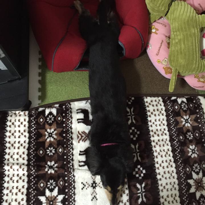 F50e7f8c 5fd2 4f4c 8414 233b669c0934