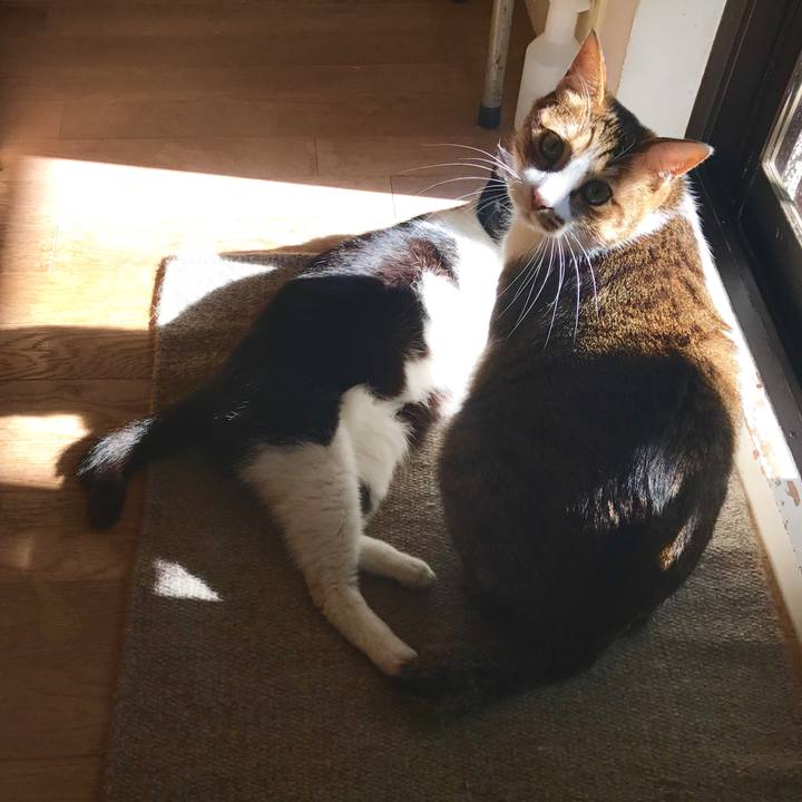 F50f3f76 4481 46a5 9b18 8fa7d7491086