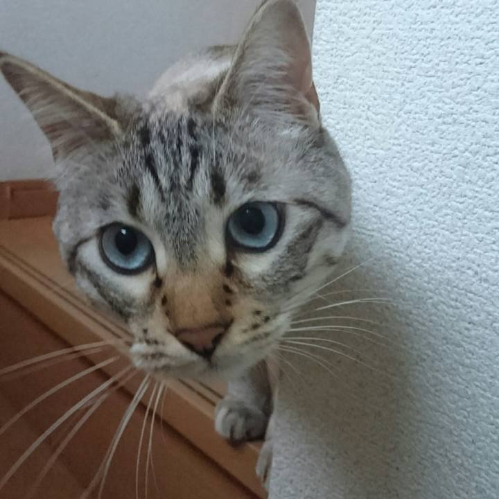 F50fa6e0 ccfd 4cb6 96a2 4b2a57b6bd83