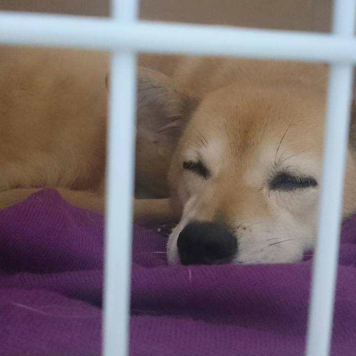 F50fa822 cb18 4a67 8bbd 13ddb4da72c4