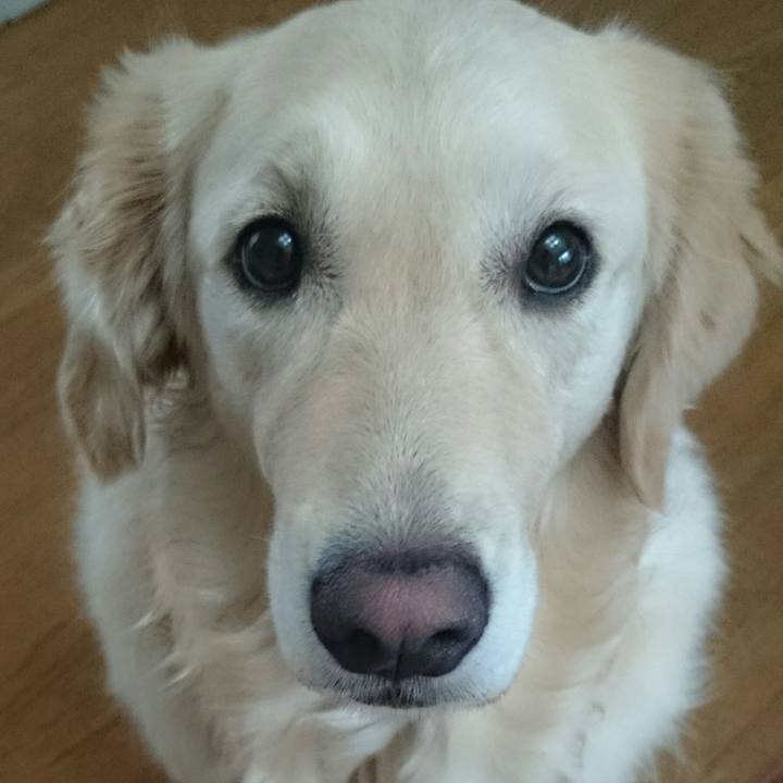 F50fc63a 8682 476b b357 1a6597df8645