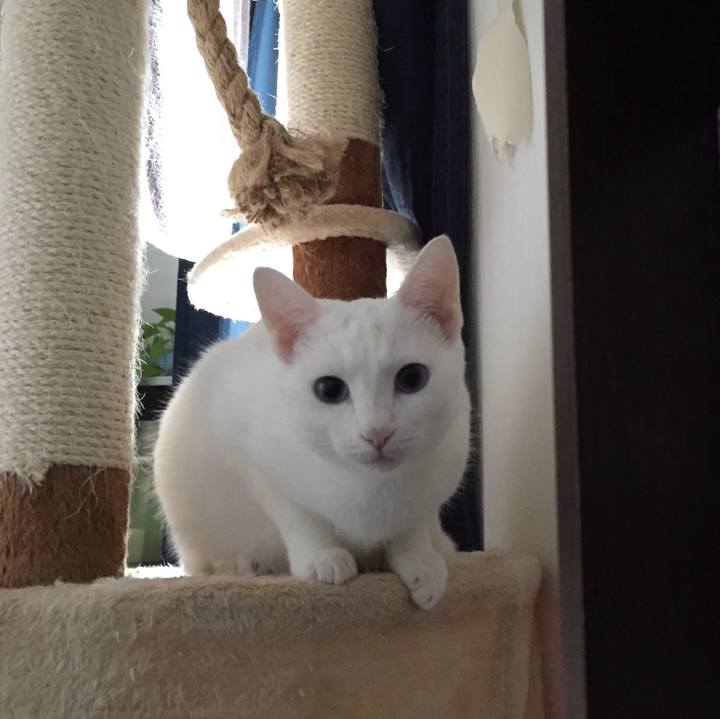 F50fddfd 390a 4825 9222 fda738161c9a