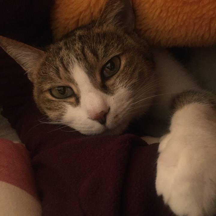 F51009f6 6af5 4f1c 80dd d5d085a6cff3