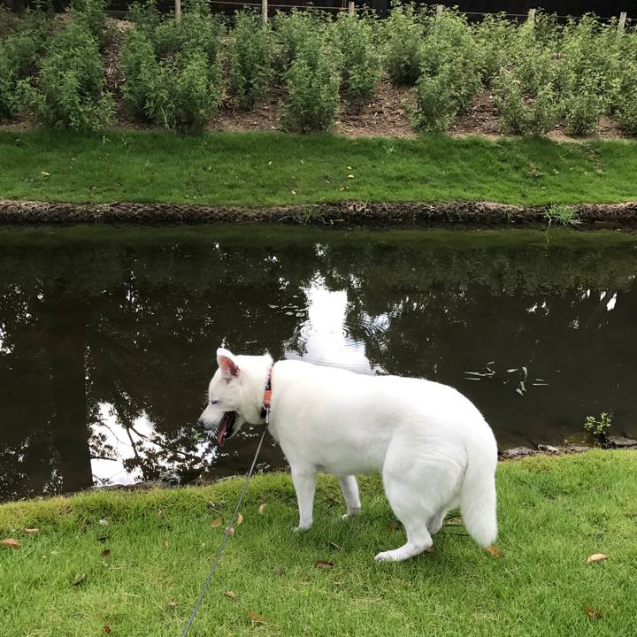 F510469a 4faa 4910 b1c4 27ac162f1143