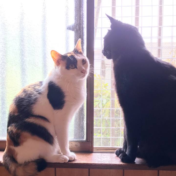 F510ff57 54a0 4ba8 a1ae f41fad1839e9