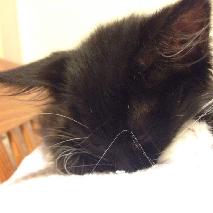 F5111ae4 aca3 4497 b925 e6d2f811e7d2