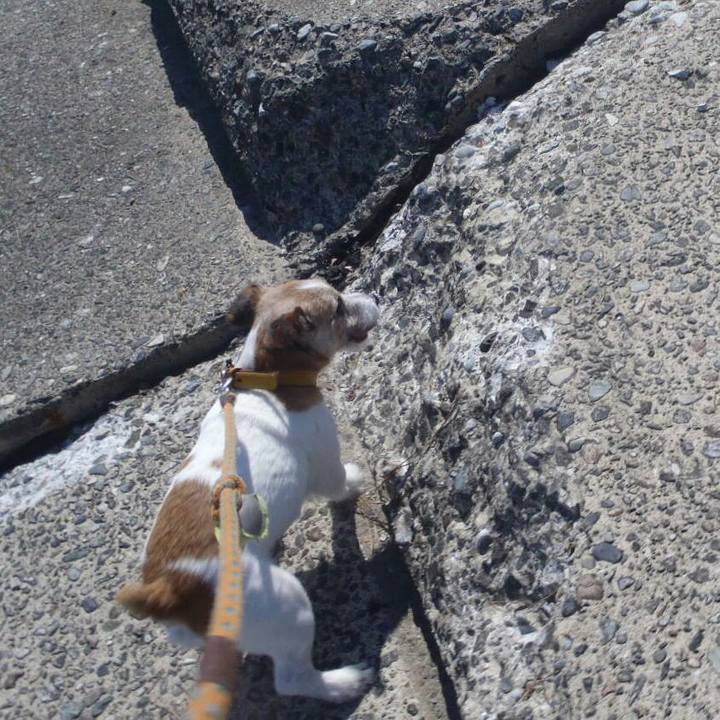 F512a2d2 e08c 4f05 96a4 e8e92f24e407