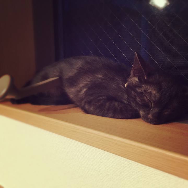 F513148a fcca 4261 bd09 87b2780f1e44