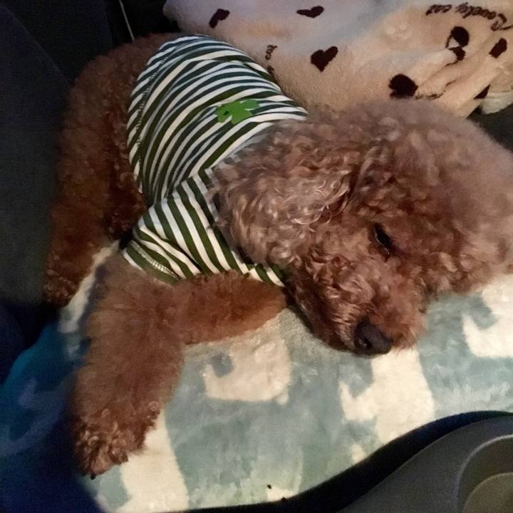 F513d9e0 704a 414c 869b 8ec17ec9b738