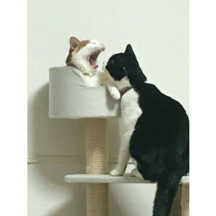 F513e740 9ca0 4fe6 a110 d8f67626bf20