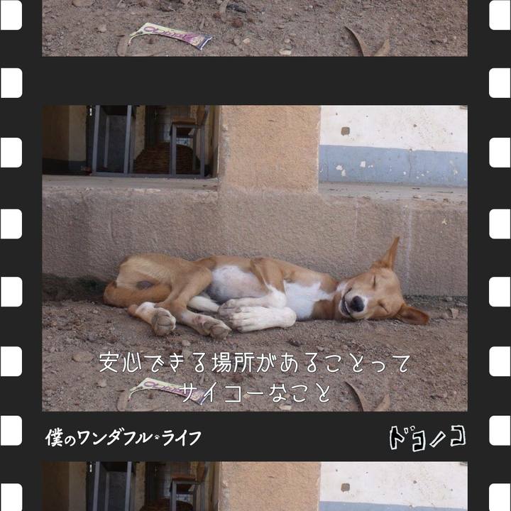 F5140eed 41e2 4a7e a6a0 9b547d3b9963