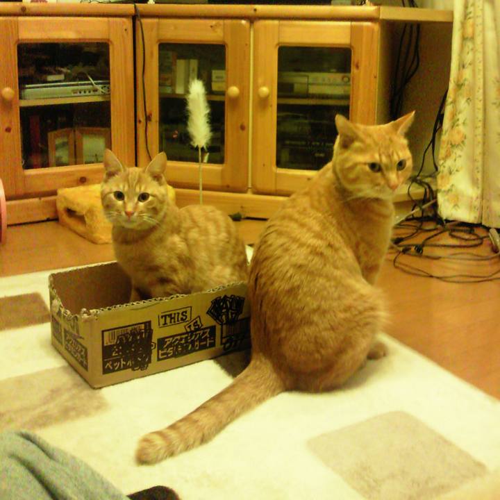 F51422cf b4b9 455f bf6d 682d0f43f0cb