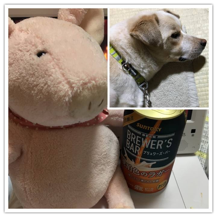 F514619f 805f 4ffb a985 dce1d1ed2609