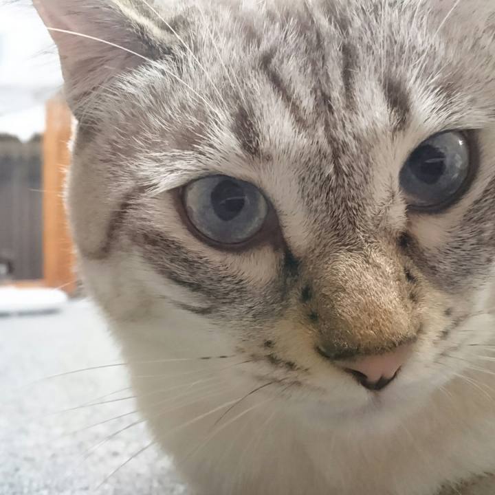 F514f9f5 33a1 4c8d b740 5e195a6792e7