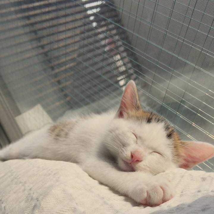 F5166d9e 0070 4ad7 bfbe 60e61677b684