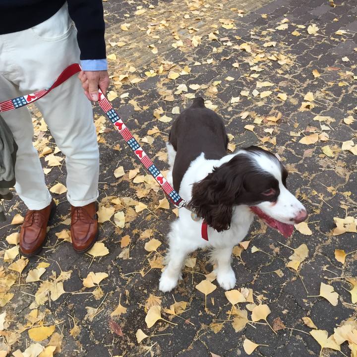 F516e82b b210 494d a942 6966ecebea33